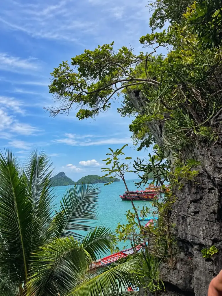 Tour boats on the turquoise water of Ang Thong, seen through the trees
