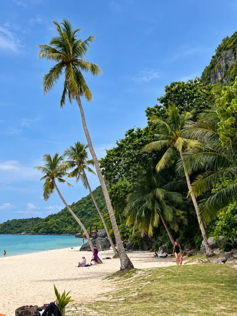 A white beach with palm trees in Ang Thong Marine Park