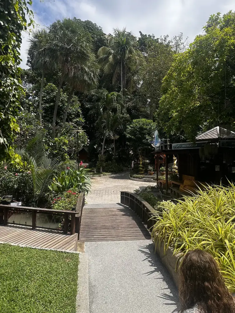 Un chemin à travers le jardin verdoyant du Ban's Diving Resort