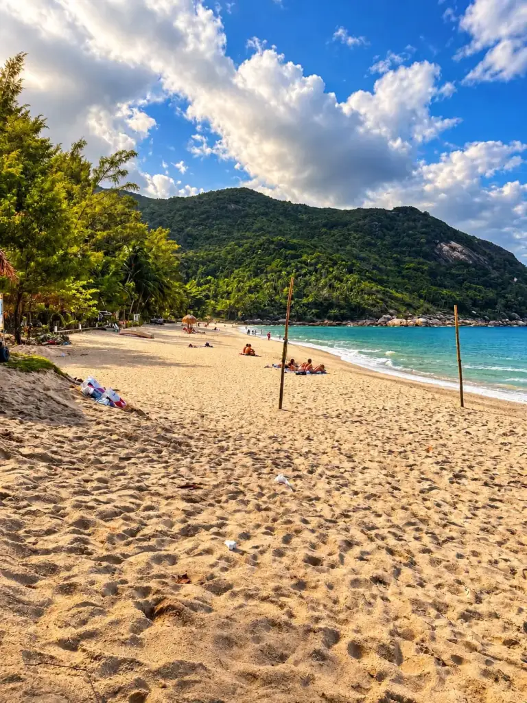 The sand at Bottle Beach and the green hills around the bay