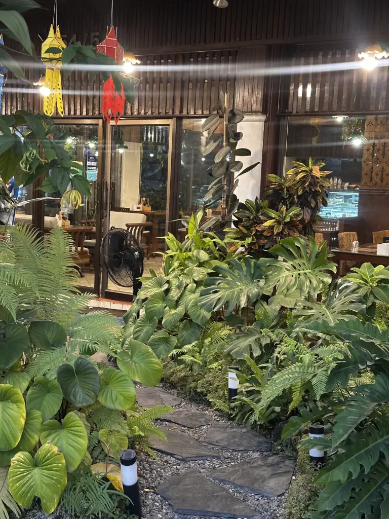 Plants at a cafe in Chiang Mai