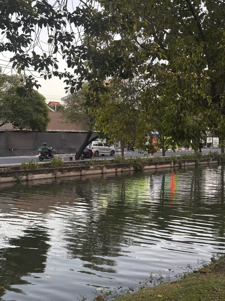 The moat lined with trees in Chiang Mai