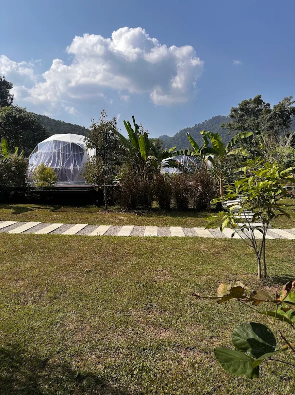Dome tent at Cosy Garden Khao Sok glamping, with green mountains behind