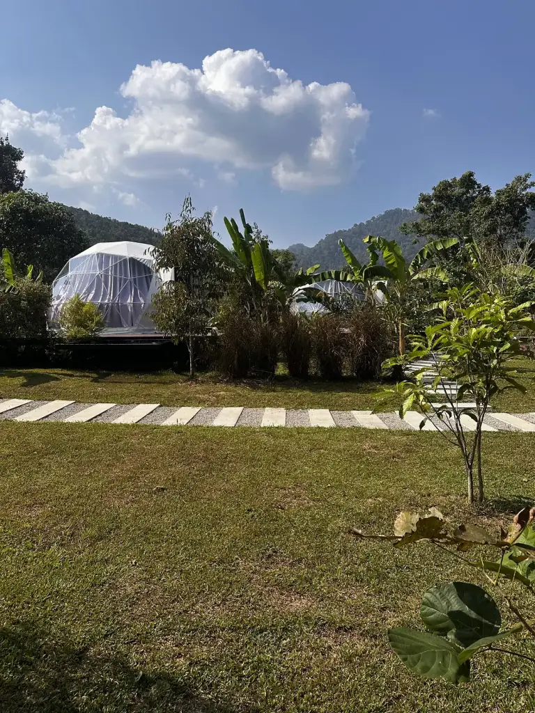 A white dome tent in the garden at Cosy Garden Khao Sok, with green mountains behind
