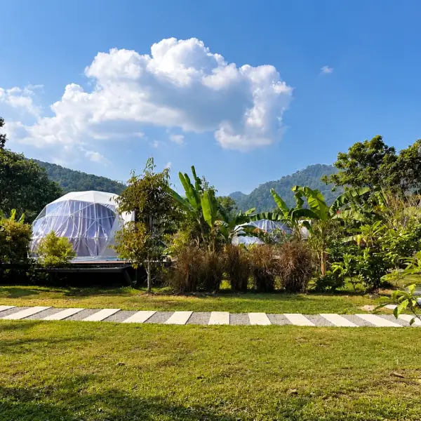 Accommodation domes at Cosy Garden Khao Sok between the garden and the green mountains