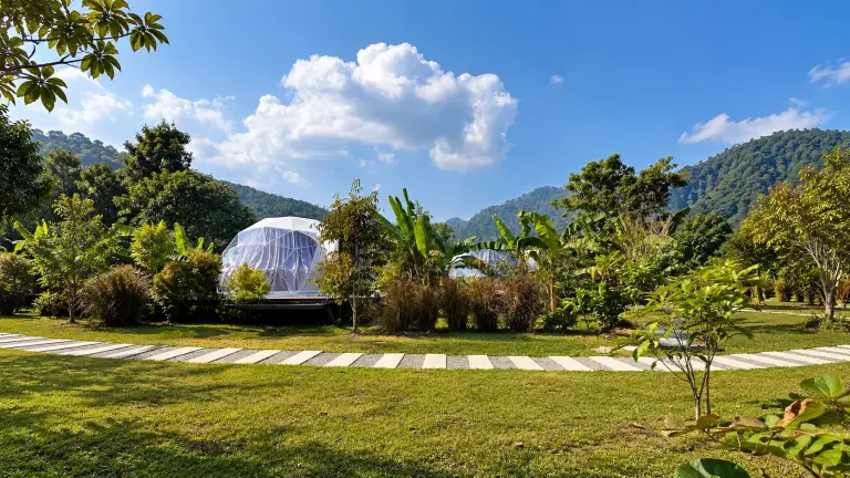 Accommodation domes at Cosy Garden Khao Sok between the garden and the green mountains