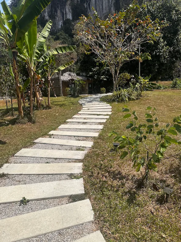 Path between banana trees, with limestone cliffs above Khao Sok village