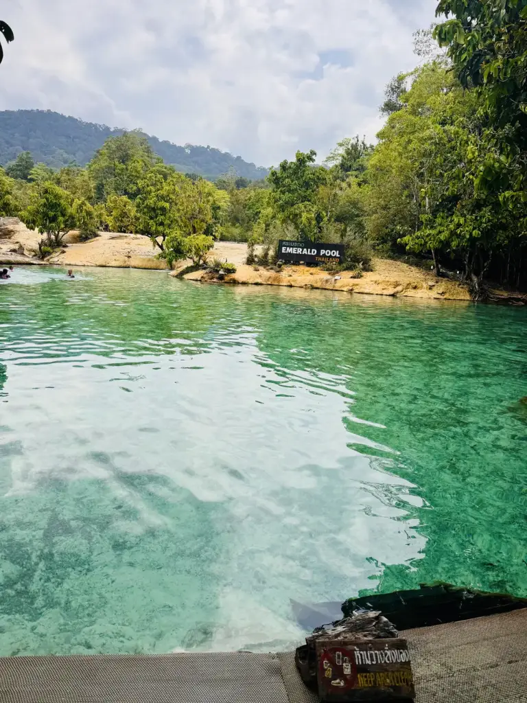 The Emerald Pool in Krabi, green water among the trees