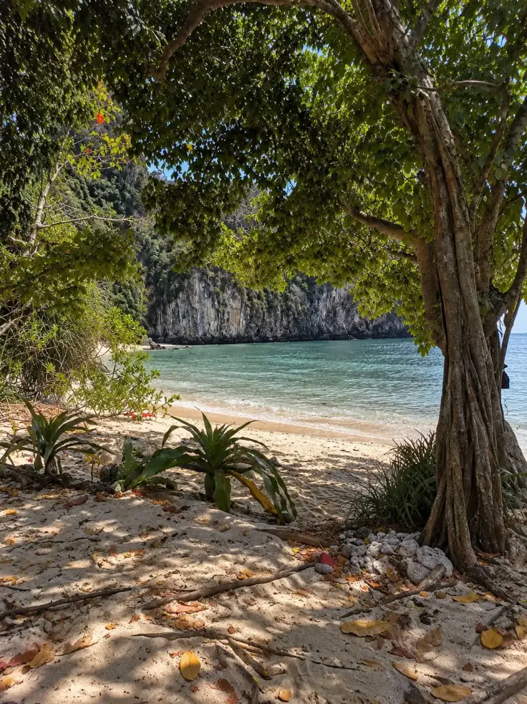 Tree shade on the sand at Koh Hong beach