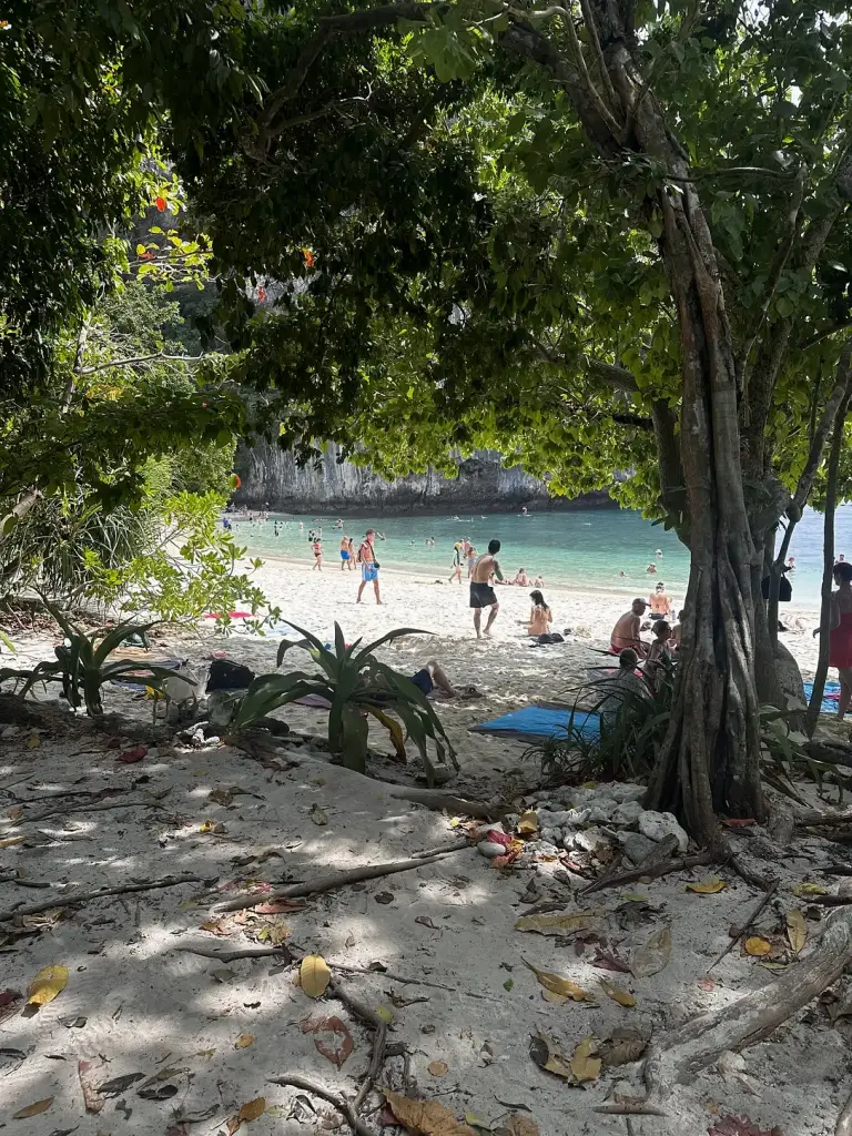 Shade under the trees on the beach at Koh Hong