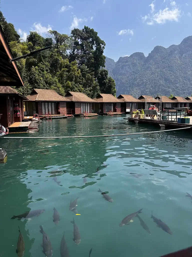 Fish in the clear water next to the floating bungalows