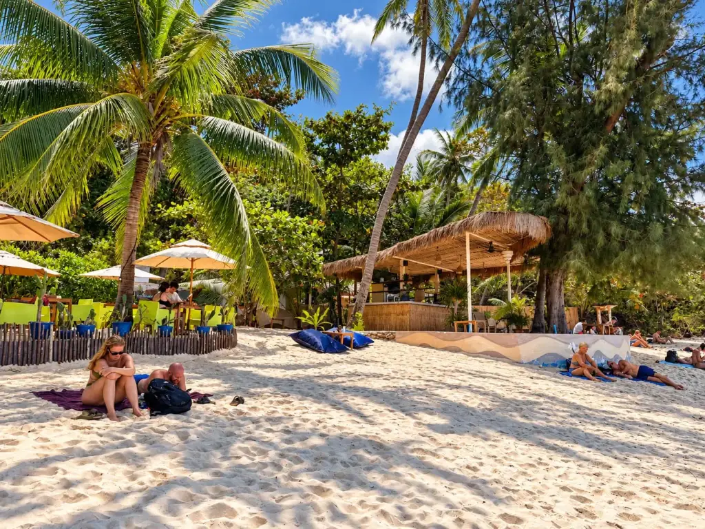 Beach with palm trees, parasols and people relaxing on the sand, Koh Phangan
