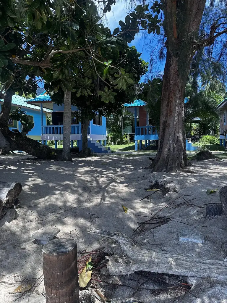 Blauwe bungalows tussen de bomen bij Mama O Chai 2, noordelijk Sairee Beach