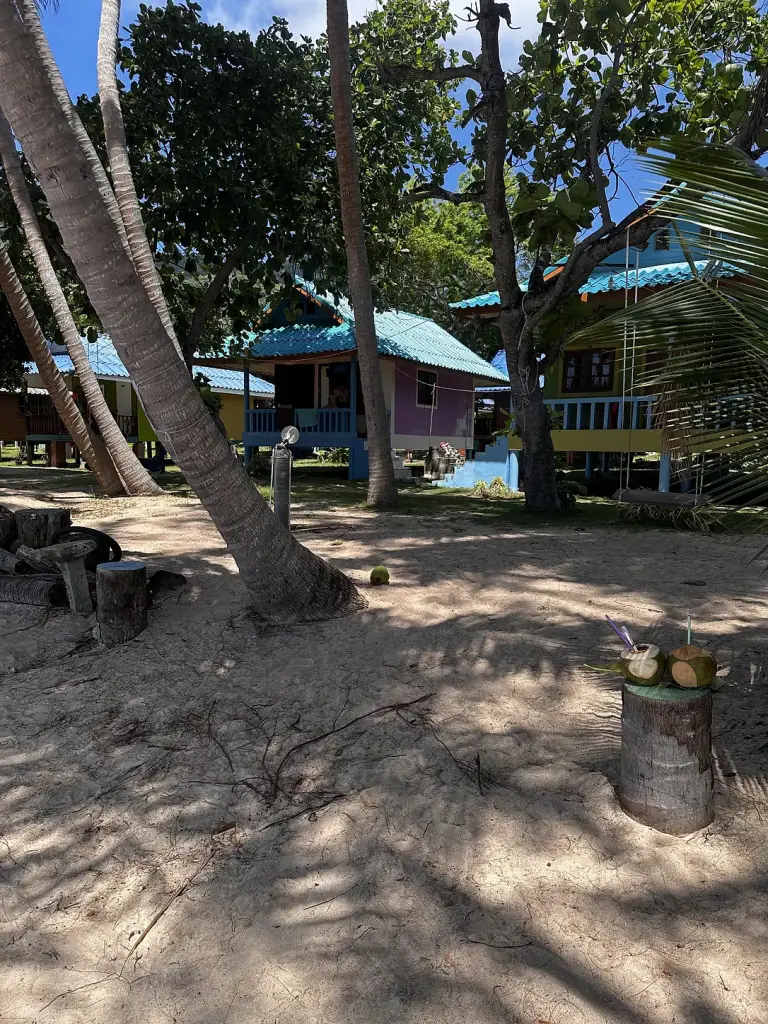 Bungalows tussen de palmbomen bij Mama O Chai 2, Koh Tao