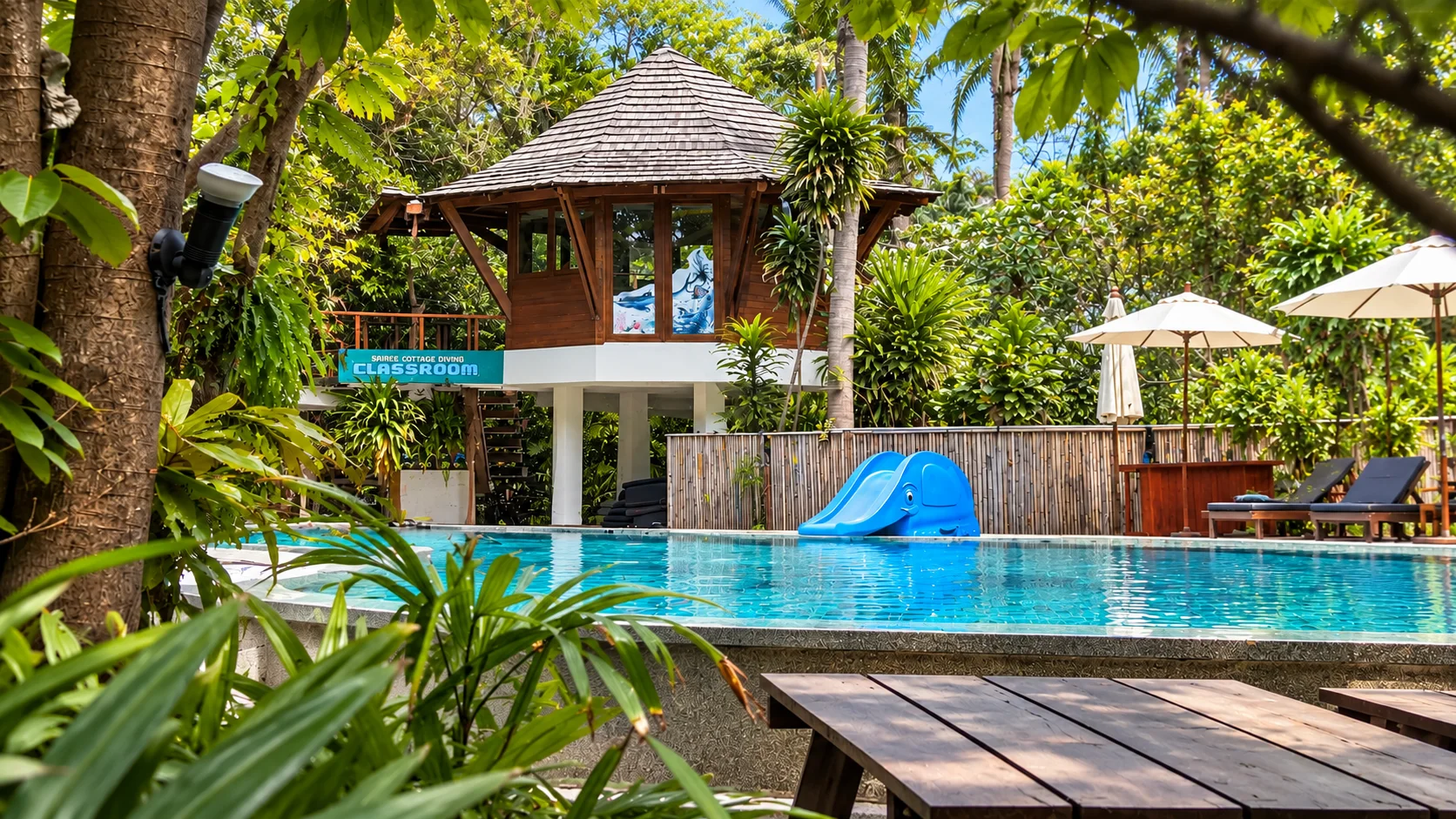 Pool at Sairee Cottage Resort on Koh Tao, with the elephant slide and a dive class among the trees