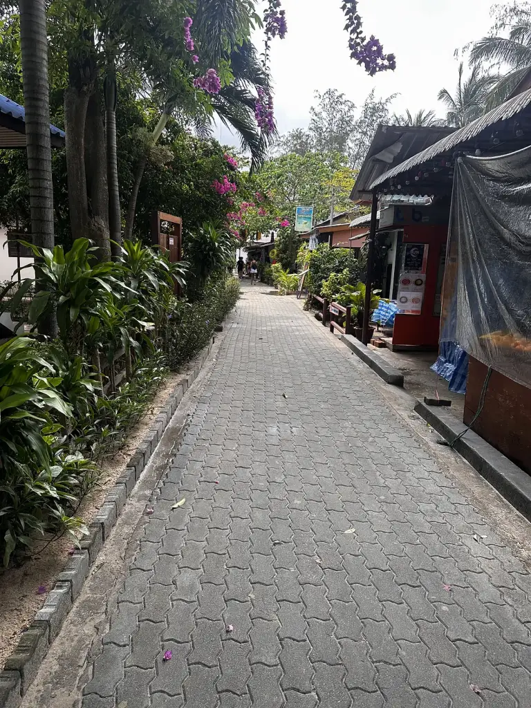 A paved lane with shops and greenery in Sairee, Koh Tao