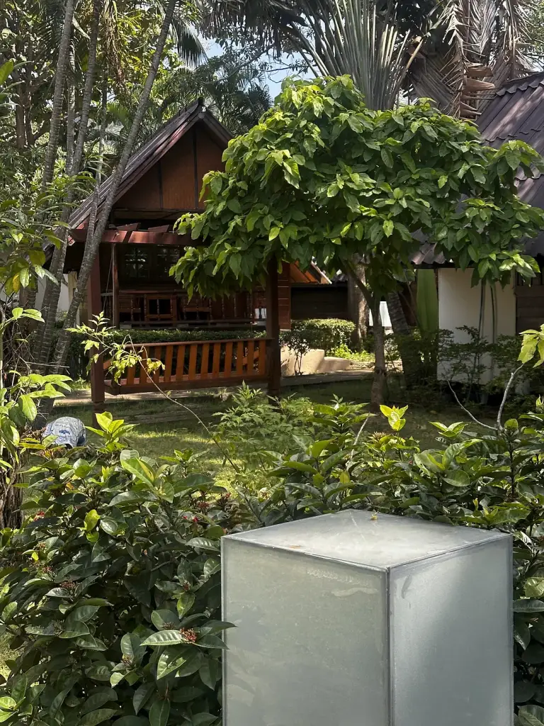 Bungalows among the greenery at Seashell Resort