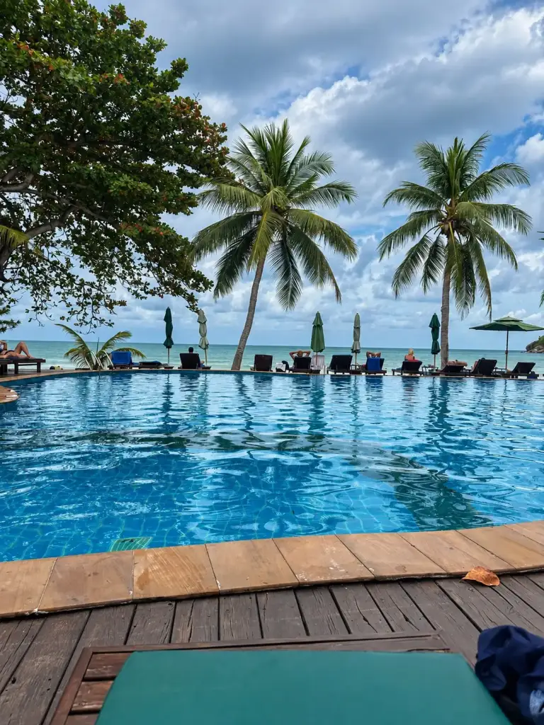 Der Pool mit Blick aufs Meer und die Palmen im Dreamland Resort